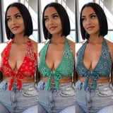 Bandana Halter Backless Crop Top